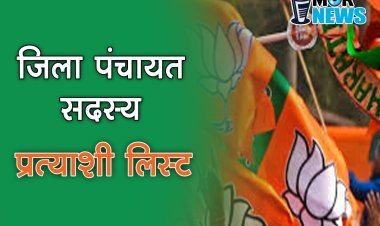 Breaking: जिला पंचायत सदस्य के लिए भाजपा ने घोषित किए प्रत्याशी। देखिए mornews*