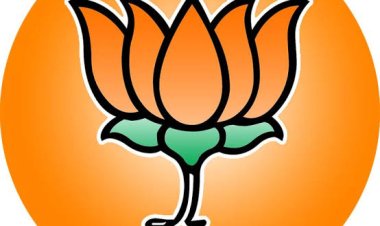 *बेलतरा विधानसभा में सभी मंडलों के पदाधिकारी एवं कार्यसमिति की घोषणा! देखिए लिस्ट*