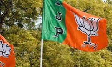 *बीजेपी में तखतपुर और बिल्हा के मंडल पदाधिकारियों की सुची जारी*