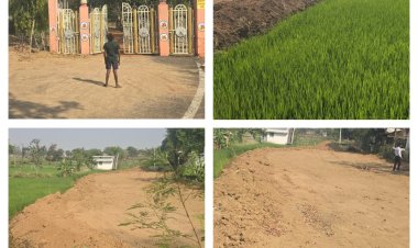 *बड़ी कार्रवाई: कॉलोनी बनने से पहले प्रशासन ने बिल्डर की जमीन का पट्टा किया निरस्त,बिल्डर ने रातों–रात शासकीय जमीन और किसान की फसल पाट कर बनवाई सड़क, शिकायत मिलने पर कलेक्टर के निर्देश पर SDM ने कराई जांच*