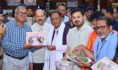 आम की खेेती किसानों की आय बढ़ाने में मददगार: मुख्यमंत्री श्री विष्णु देव साय