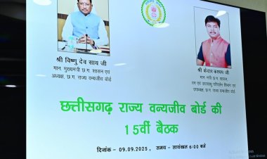 छत्तीसगढ़ में वन्य प्राणियों का संरक्षण और संवर्धन हमारी प्राथमिकता – मुख्यमंत्री श्री विष्णु देव साय