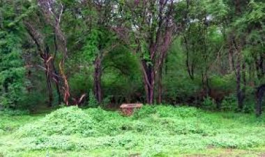 नारायणपुर के अबूझमाड़ में सुरक्षाबलों की बड़ी सफलता : दो इनामी नक्सली ढेर