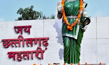 मुख्यमंत्री ने छत्तीसगढ़ महतारी की प्रतिमा पर माल्यार्पण कर उन्हें नमन किया