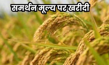 प्रदेश में 15 नवम्बर से समर्थन मूल्य पर धान खरीदी को लेकर तैयारियां पूरी