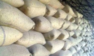 सरकार की किसान हितैषी नीतियों से बढ़ा किसानों का भरोसा