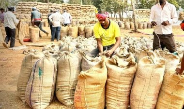 धमतरी में रिकॉर्ड रफ्तार से धान खरीदी
