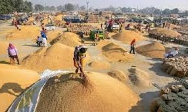 *धान खरीदी का महाभियान: अब तक 93.12 लाख मैट्रिक टन धान की खरीदी*