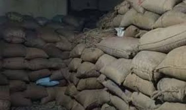 *धान खरीदी में बड़ी कार्रवाई, कस्टम मिलिंग में गड़बड़ी, 14 राइस मिल सील*